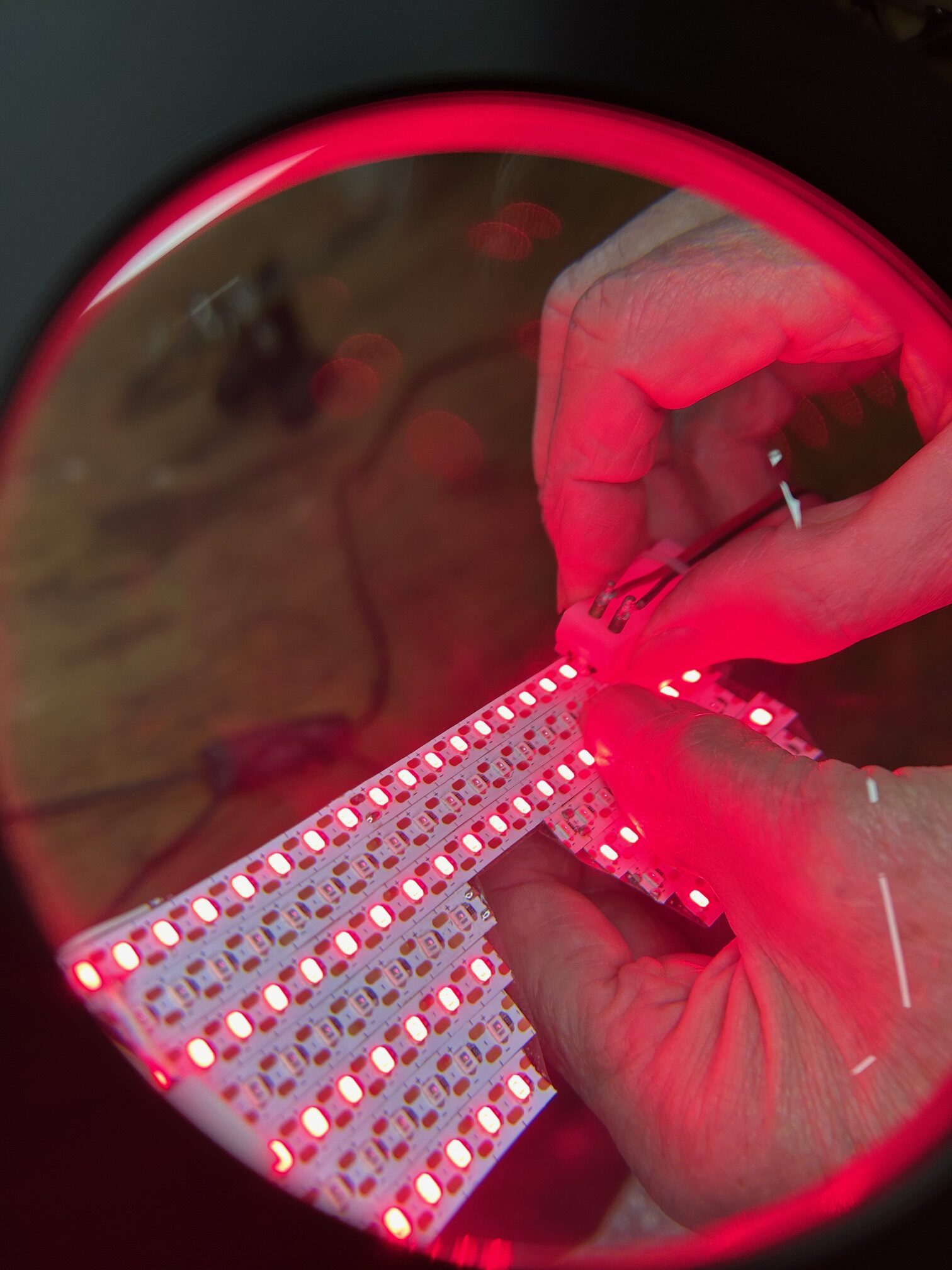 Vision Support & Macular Health