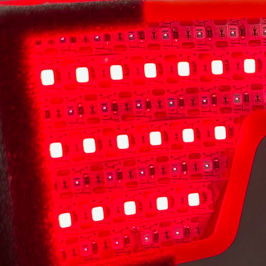 Vision Support & Macular Health