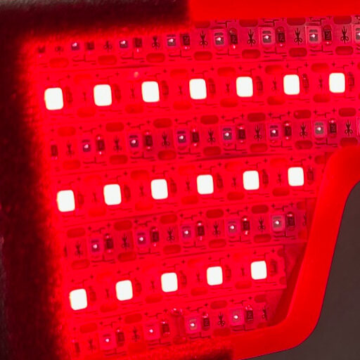 Vision Support & Macular Health